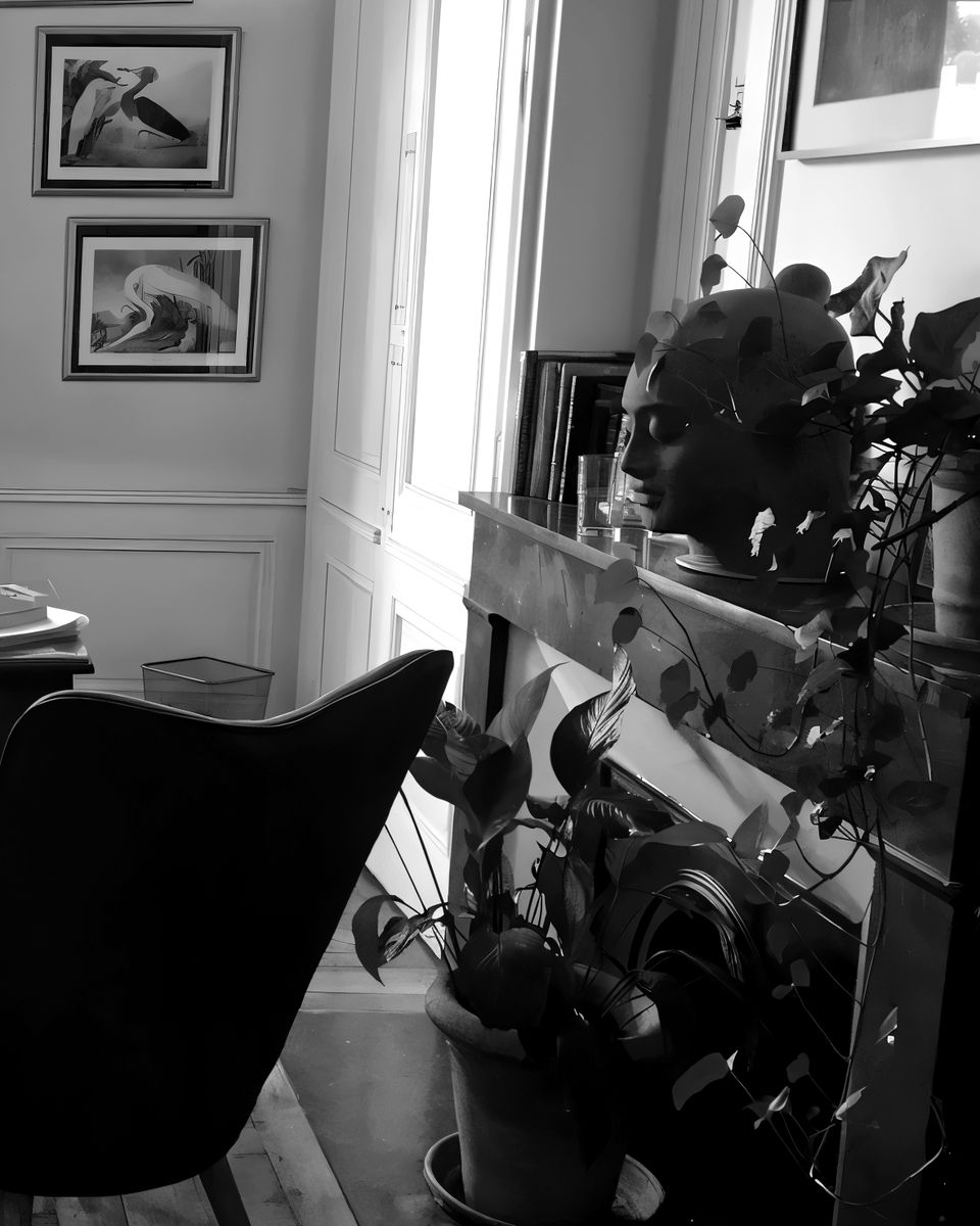 Détail du cabinet : gravures d'oiseaux, porte moulurée et sculpture sur la cheminée